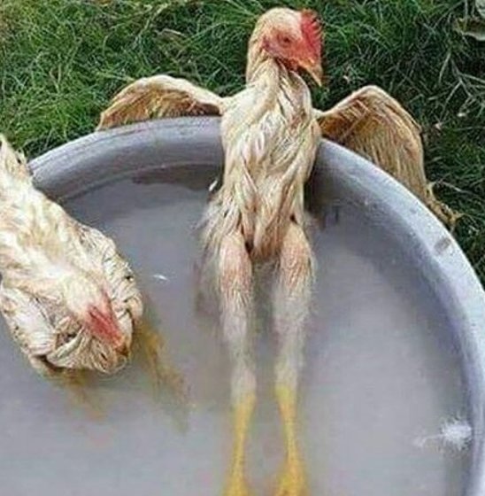 Bildschirmarbeiter - Picdump 14.07.2017