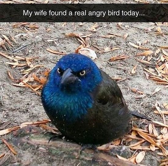 Bildschirmarbeiter - Picdump 14.07.2017