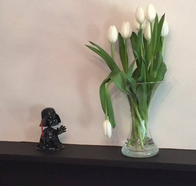 Bildschirmarbeiter - Picdump 14.07.2017