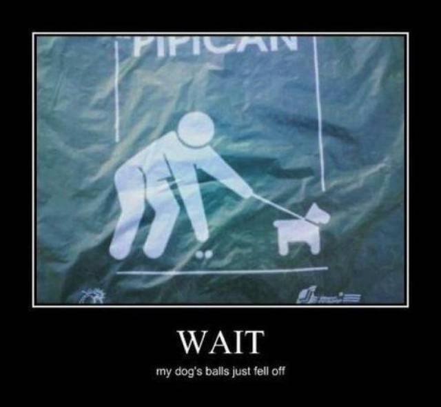 Bildschirmarbeiter - Picdump 21.07.2017