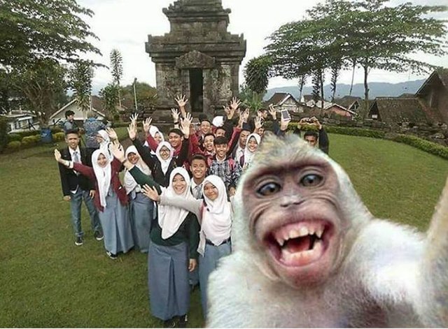 Bildschirmarbeiter - Picdump 21.07.2017