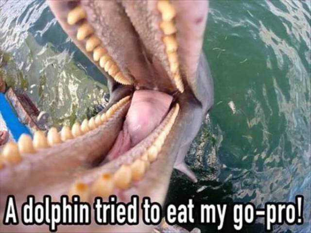 Bildschirmarbeiter - Picdump 21.07.2017