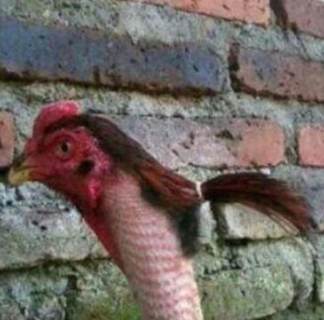 Bildschirmarbeiter - Picdump 21.07.2017