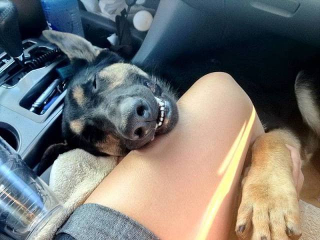 Bildschirmarbeiter - Picdump 28.07.2017