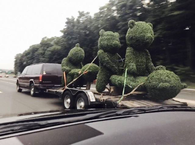 Bildschirmarbeiter - Picdump 28.07.2017