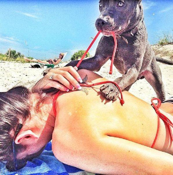 Bildschirmarbeiter - Picdump 28.07.2017