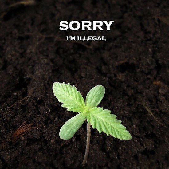 Bildschirmarbeiter - Picdump 28.07.2017