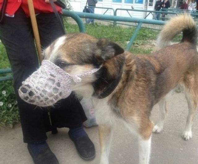 Bildschirmarbeiter - Picdump 28.07.2017