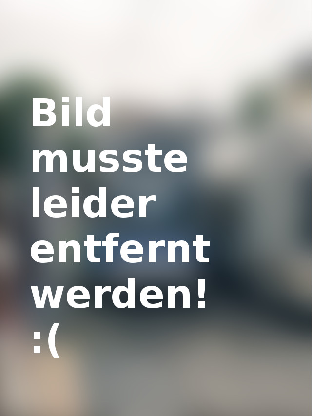 Bildschirmarbeiter - Picdump 28.07.2017