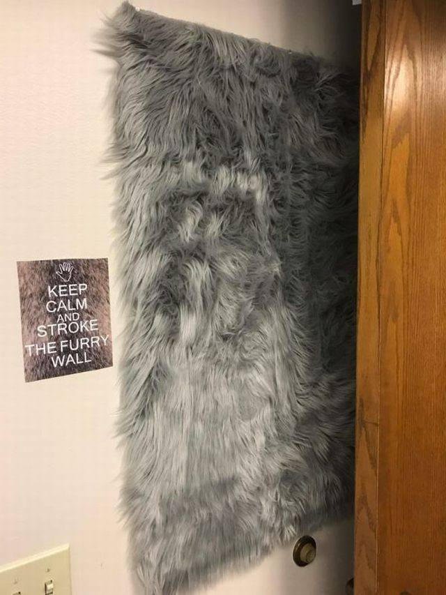 Bildschirmarbeiter - Picdump 04.08.2017