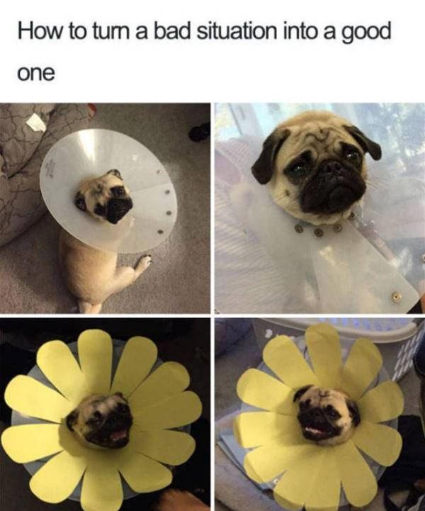 Bildschirmarbeiter - Picdump 04.08.2017