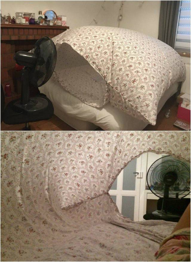 Bildschirmarbeiter - Picdump 04.08.2017