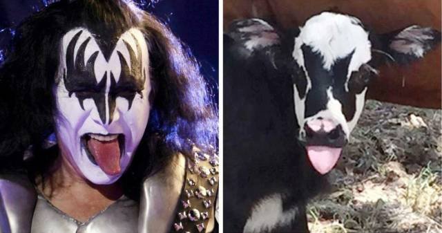 Bildschirmarbeiter - Picdump 04.08.2017