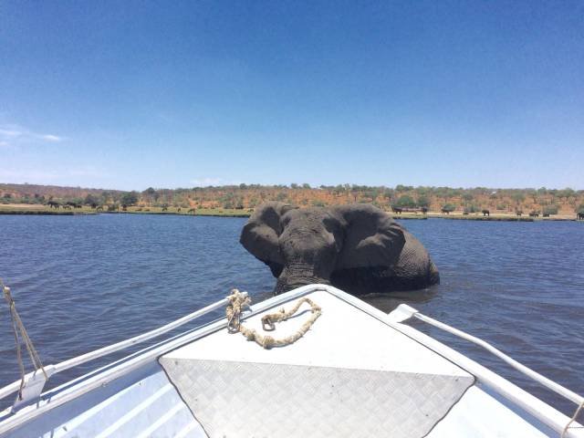 Bildschirmarbeiter - Picdump 04.08.2017