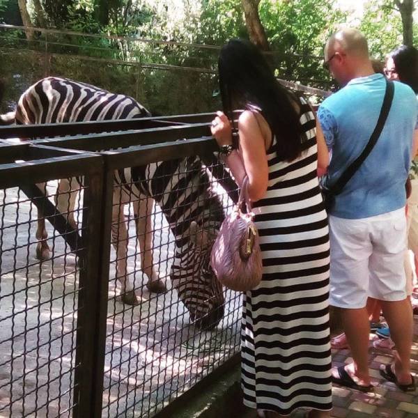 Bildschirmarbeiter - Picdump 04.08.2017