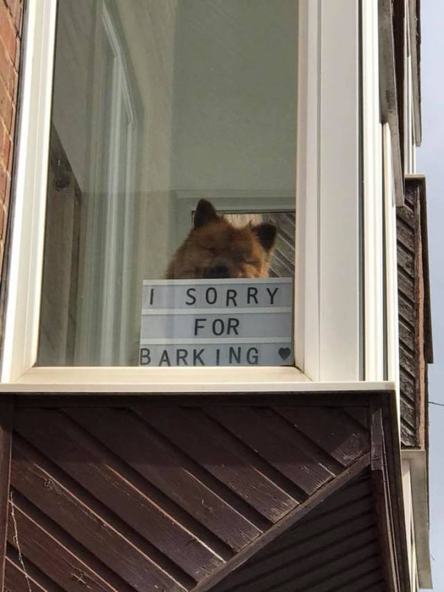 Bildschirmarbeiter - Picdump 04.08.2017