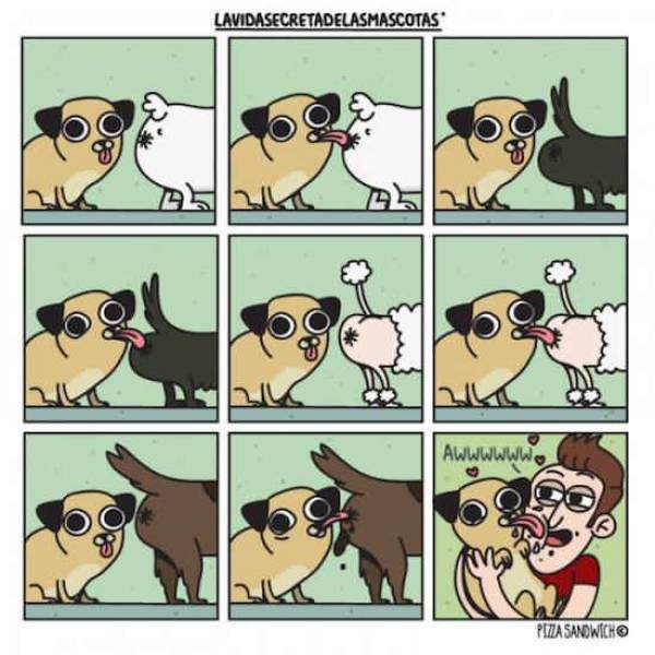 Bildschirmarbeiter - Picdump 04.08.2017