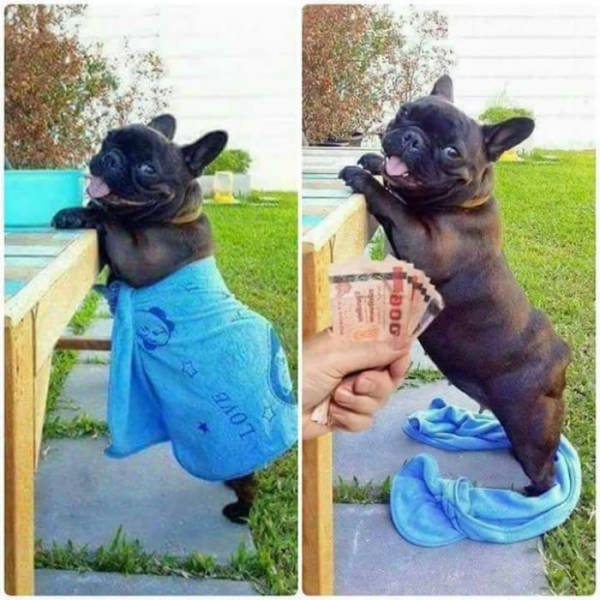 Bildschirmarbeiter - Picdump 04.08.2017