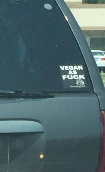 Bildschirmarbeiter - Picdump 04.08.2017