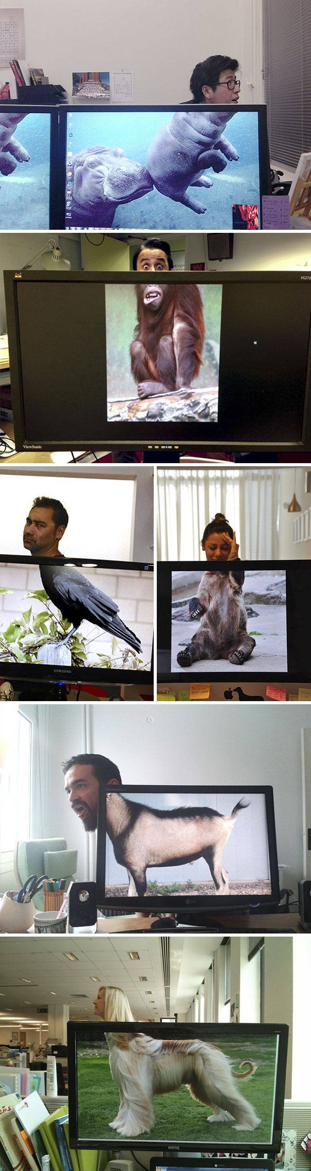 Bildschirmarbeiter - Picdump 04.08.2017