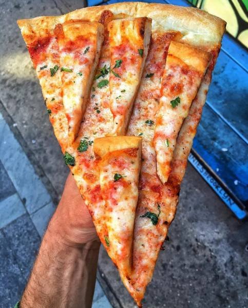 Bildschirmarbeiter - Picdump 04.08.2017