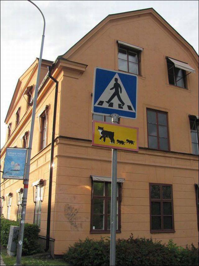 Bildschirmarbeiter - Picdump 11.08.2017