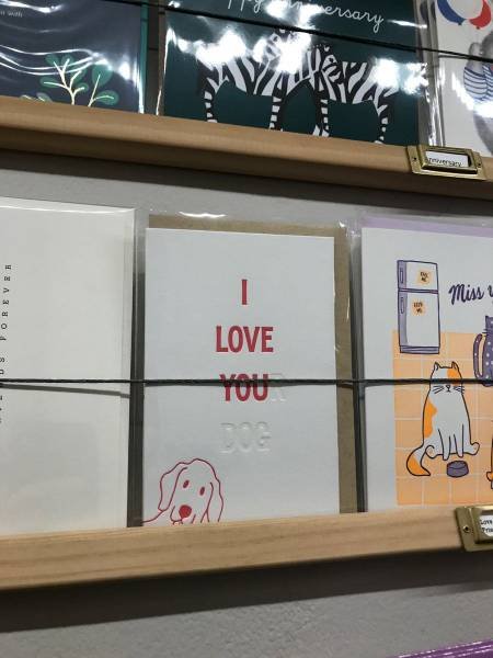 Bildschirmarbeiter - Picdump 11.08.2017