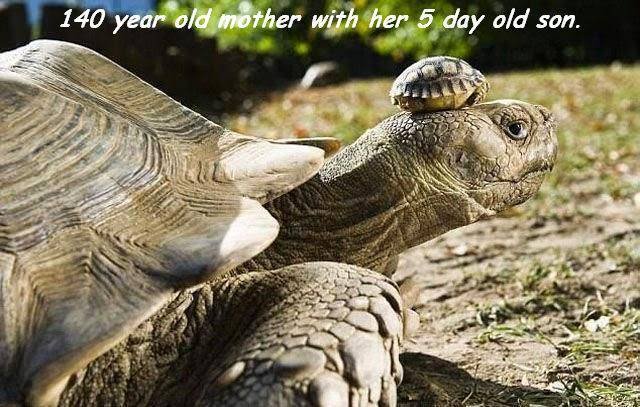 Bildschirmarbeiter - Picdump 11.08.2017