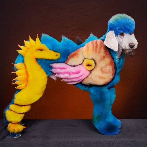 Bildschirmarbeiter - Picdump 11.08.2017