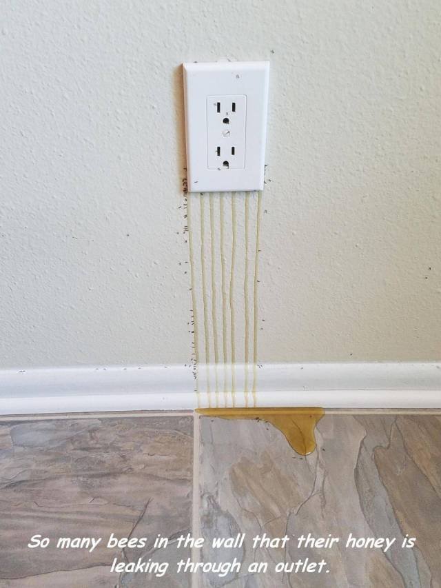 Bildschirmarbeiter - Picdump 11.08.2017