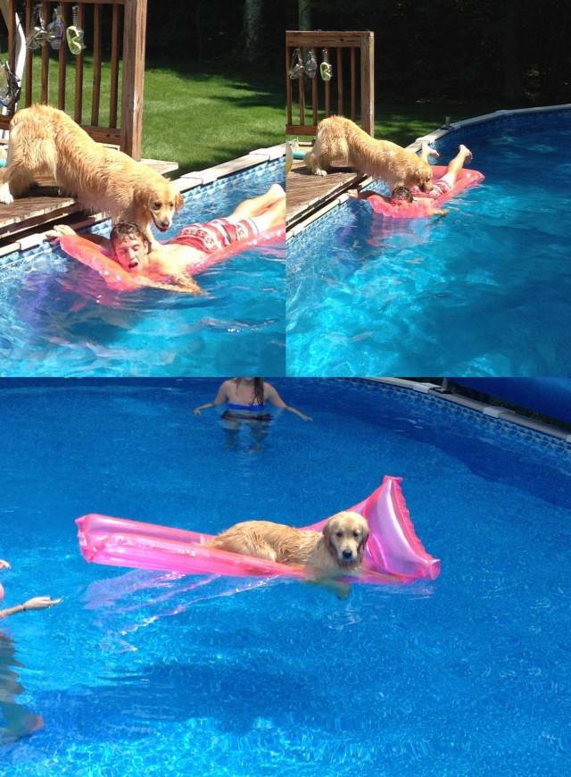 Bildschirmarbeiter - Picdump 11.08.2017