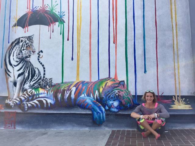 Bildschirmarbeiter - Picdump 11.08.2017