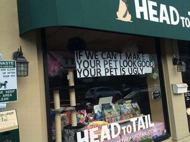 Bildschirmarbeiter - Picdump 11.08.2017