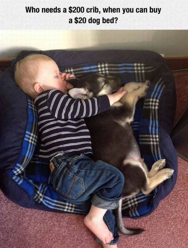 Bildschirmarbeiter - Picdump 11.08.2017