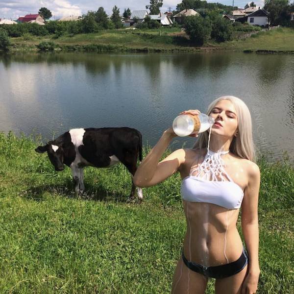 Bildschirmarbeiter - Picdump 11.08.2017