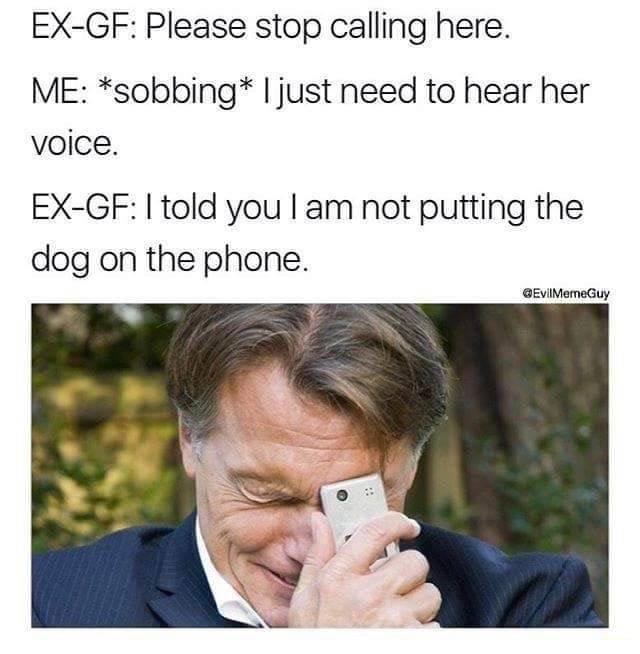 Bildschirmarbeiter - Picdump 11.08.2017