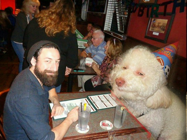 Bildschirmarbeiter - Picdump 11.08.2017