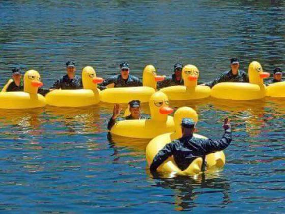 Bildschirmarbeiter - Picdump 11.08.2017