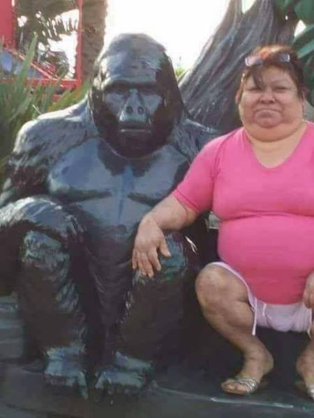 Bildschirmarbeiter - Picdump 11.08.2017