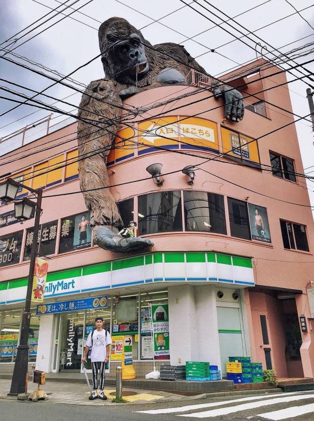 Bildschirmarbeiter - Picdump 11.08.2017