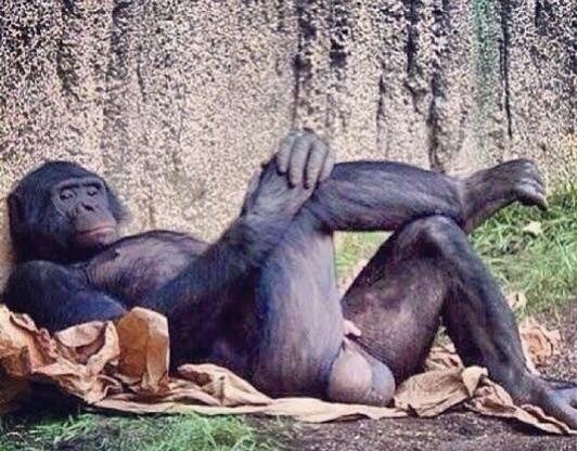 Bildschirmarbeiter - Picdump 11.08.2017