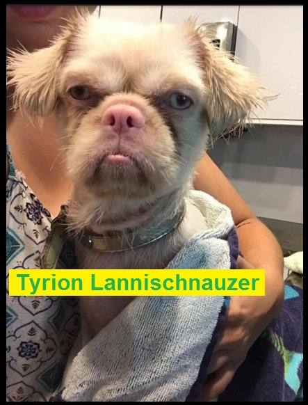 Bildschirmarbeiter - Picdump 11.08.2017