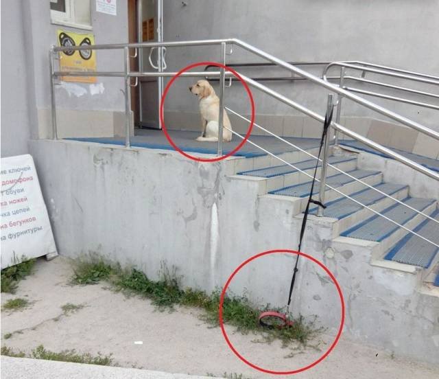 Bildschirmarbeiter - Picdump 18.08.2017