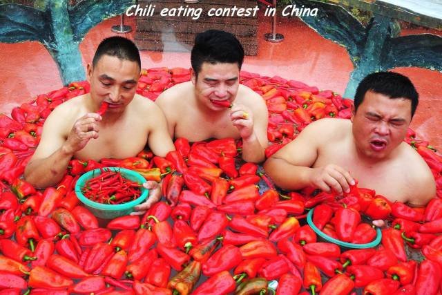 Bildschirmarbeiter - Picdump 18.08.2017