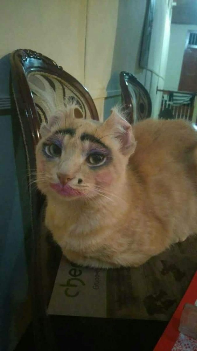 Bildschirmarbeiter - Picdump 18.08.2017