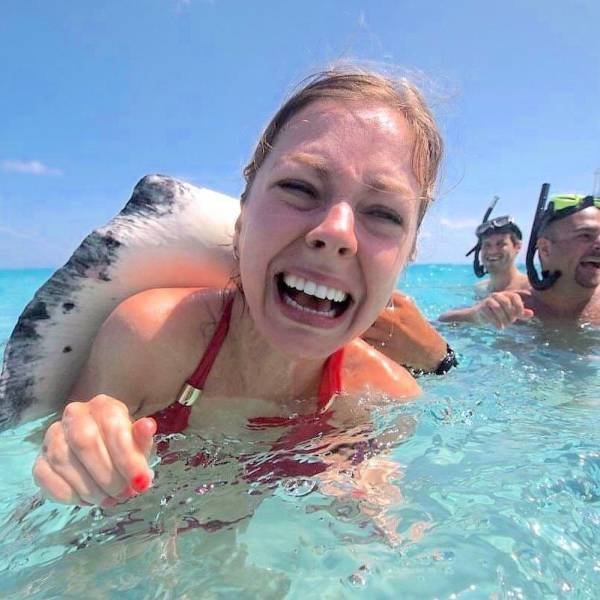 Bildschirmarbeiter - Picdump 25.08.2017