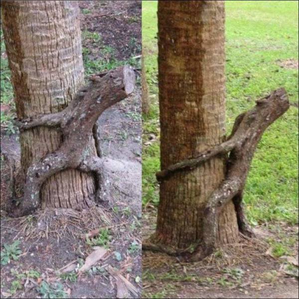 Bildschirmarbeiter - Picdump 25.08.2017