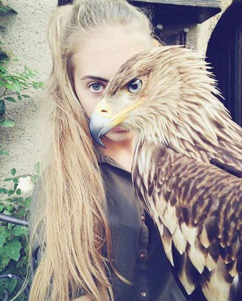 Bildschirmarbeiter - Picdump 25.08.2017