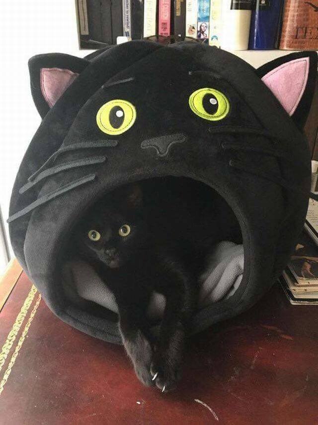 Bildschirmarbeiter - Picdump 25.08.2017