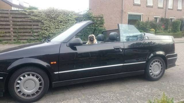 Bildschirmarbeiter - Picdump 25.08.2017